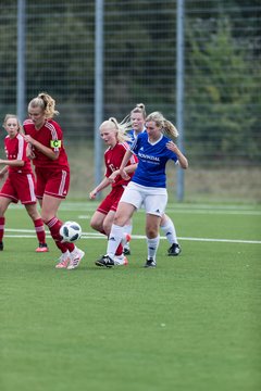 Bild 217 - F FSG Kaltenkirchen - SV Wahlstedt : Ergebnis: 6:1